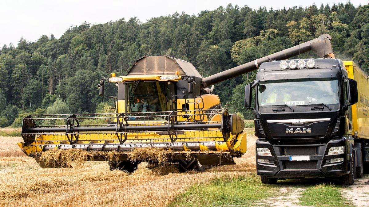 Moissonneuse-batteuse déchargeant du grain dans une benne en bordure de parcelle